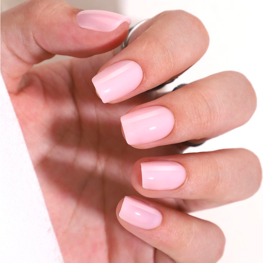 Bubblegum